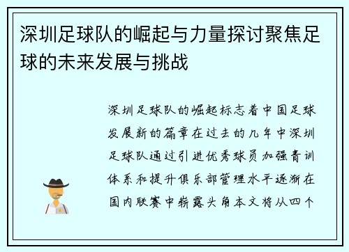 深圳足球队的崛起与力量探讨聚焦足球的未来发展与挑战