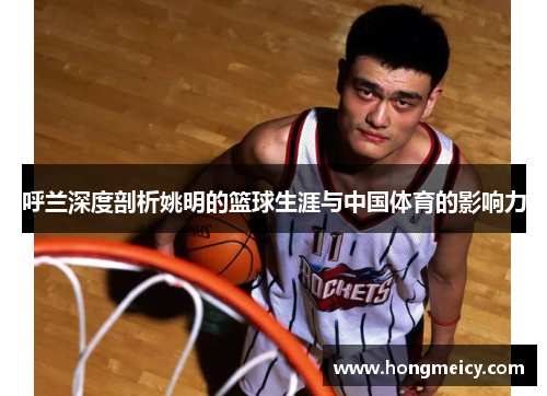 呼兰深度剖析姚明的篮球生涯与中国体育的影响力