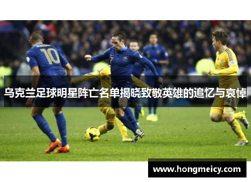 乌克兰足球明星阵亡名单揭晓致敬英雄的追忆与哀悼