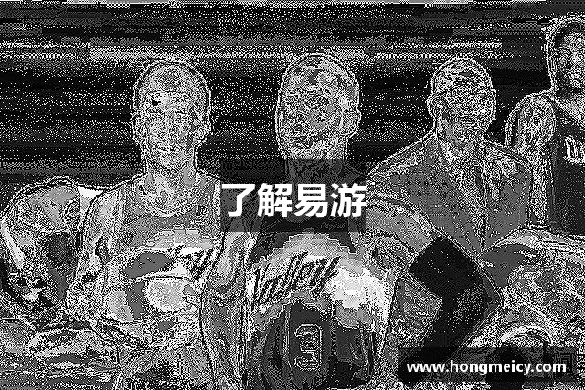 了解易游